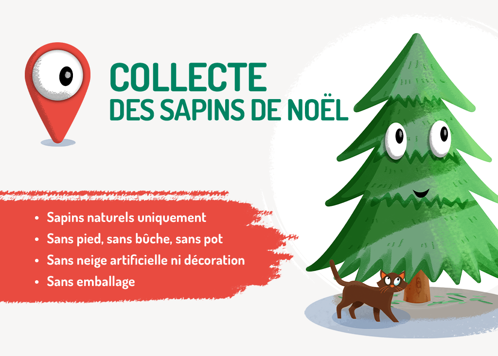 2024-Collecte sapins visuel 2